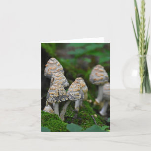 De Remerciements Champignons blanc carte pour notes