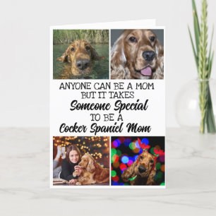 De Remerciements Cocker Spaniel ...Meilleure carte mère