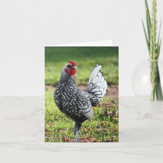 De Remerciements Coq, carte blanche (Devant)