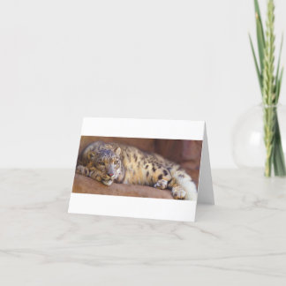 De Remerciements Dangereusement fermer relaxant Snow Leopard carte