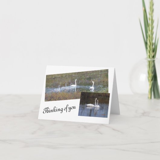 De Remerciements Les oiseaux d'une carte à notes vierge en plumes (Devant)