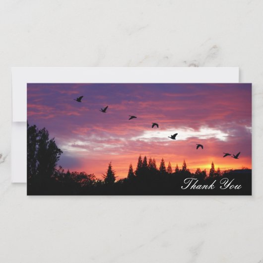 De Remerciements "Merci", carte photo (Devant)