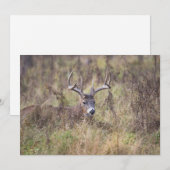 De Remerciements Neuf Point Buck Pose Vers Le Bas Carte pour notes  (Devant / Derrière)