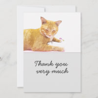 Orange cat est sur la carte arrière - plan blanche