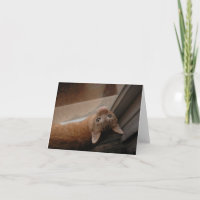 Orange kitty carte pour notes, par H.A.S. Arts