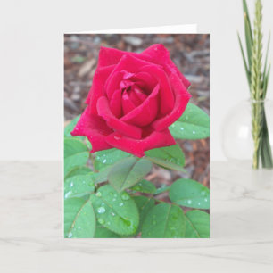 De Remerciements Rose rouge sur un carte pour notes vierge
