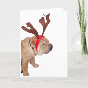 DE REMERCIEMENTS SHAR PEI AVEC ANTLERS CHRISTMAS CARTE