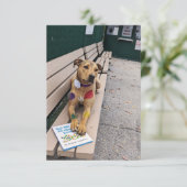 De Remerciements Zoo cosplay book Funny Chien Carte photo (Debout devant)