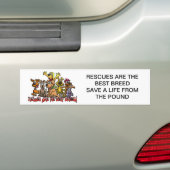 DE RESCUMENTEN ZIJN DE BESTE BREED BUMPERSTICKERS (Op auto)