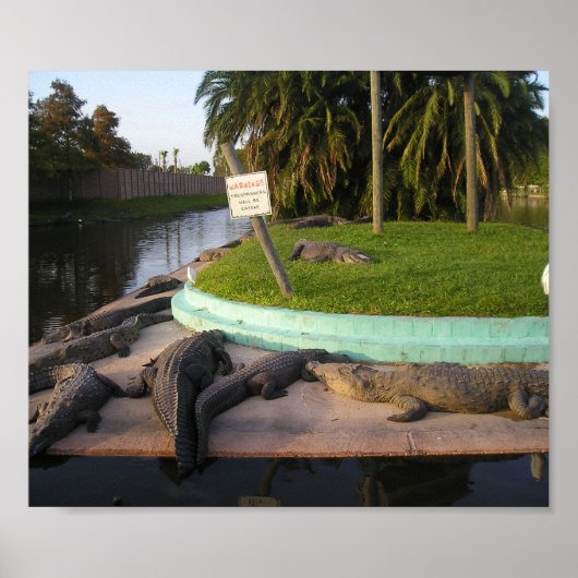 De respassers zullen worden gegeten! poster (Voorkant)