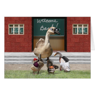 De Retour À L'École, Petits Canards !