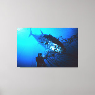 De reuzenblauwvintonijn die in een Net wordt gevan Canvas Afdruk