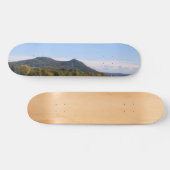 De Rhein Skateboard (Horizontaal)