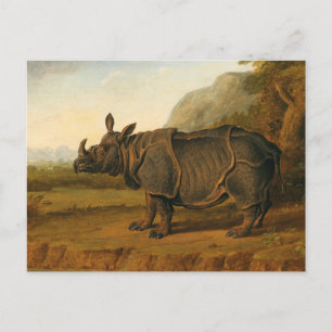 De Rhinoceros Clara van Jean-Baptiste Oudry Briefkaart