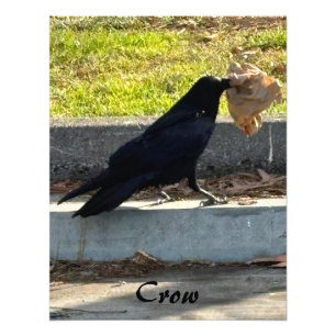 De rij foto afdruk