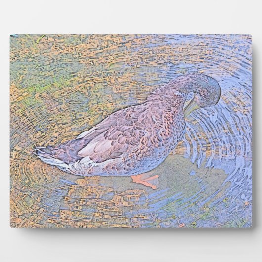 De Rimpelingen Fotoplaat (Voorkant)