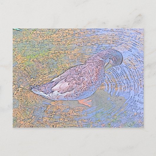 De rimpels briefkaart (Voorkant)