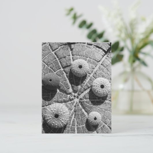 de ringen briefkaart (Staand voorkant)