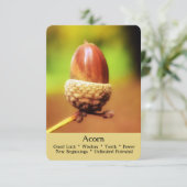 De Ritual, Divination & Healing Cards - Acorn Kaart (Staand voorkant)