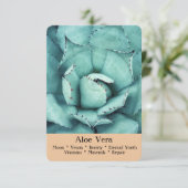 De Ritual, Divination & Healing Cards - Aloe Vera Kaart (Staand voorkant)