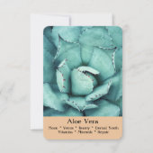 De Ritual, Divination & Healing Cards - Aloe Vera Kaart (Voorkant)