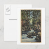 De rivier de Rogue, Oregon - Uitzicht van de boven Briefkaart (Voorkant / Achterkant)