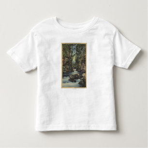 De rivier de Rogue, Oregon - Uitzicht van de boven Kinder Shirts