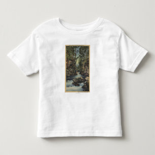 De rivier de Rogue, Oregon - Uitzicht van de boven Kinder Shirts