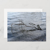 De rivier, het stilleven briefkaart (Voorkant / Achterkant)