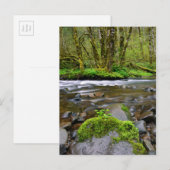 De rivier in het groene bos, Oregon Briefkaart (Voorkant / Achterkant)
