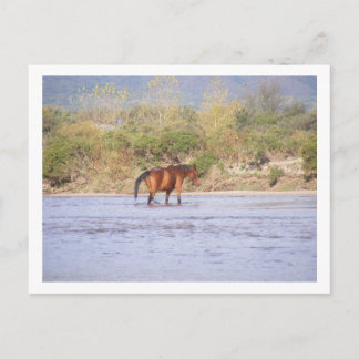 de rivier overschrijden briefkaart