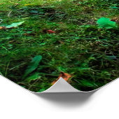 De rivier stroomt rustig poster (Hoek)