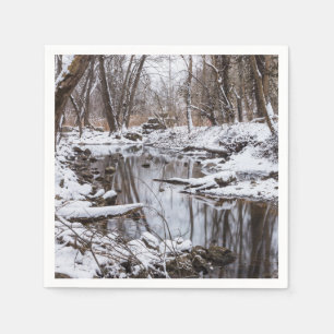 De Rivieroever van de sneeuw Servet