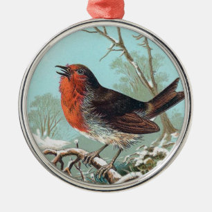 De Robin Bird Illustratie Metalen Ornament