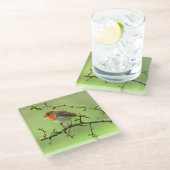 De Robin Glazen Onderzetter (Schuin)