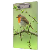 De Robin Klembord (Links)