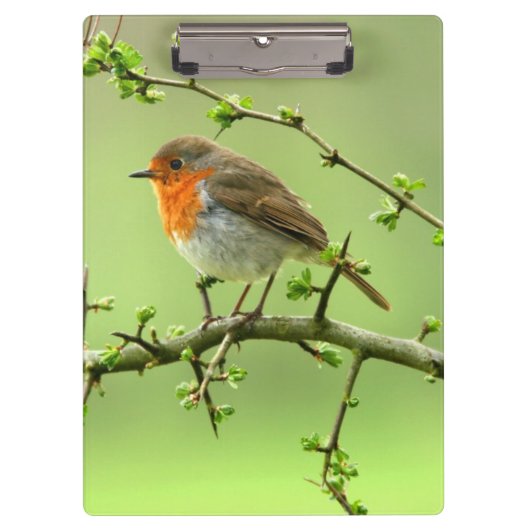 De Robin Klembord (Voorkant)