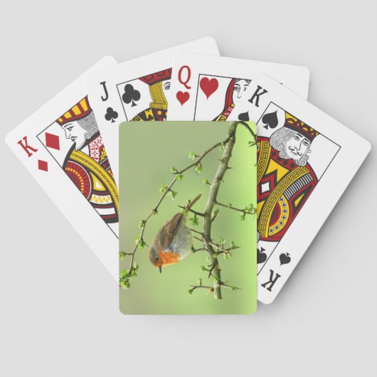 De Robin Speelkaarten (Achterkant)