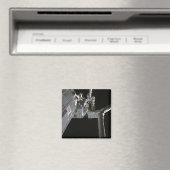 De robotarm van de Japanse Experiment Modu Magneet (Insitu (Vaatwasser))