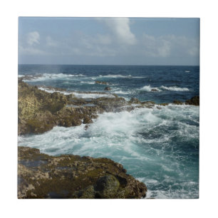 De Rocky Coast and Blue Ocean van Aruba Tegeltje