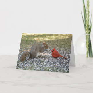 De Roddel van de binnenplaats Kaart