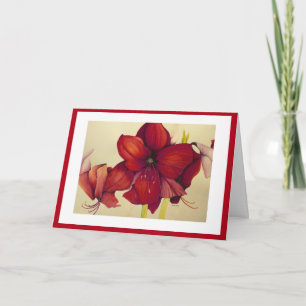 De rode Amaryllis die van Kerstmis de Rode Kaart