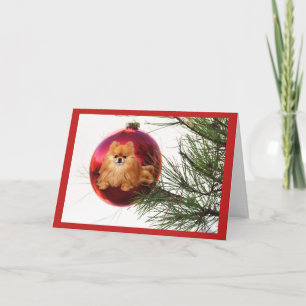 De Rode Bal van de Kerstkaart van Pomeranian Feestdagen Kaart