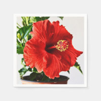 De rode Bloem van de Hibiscus