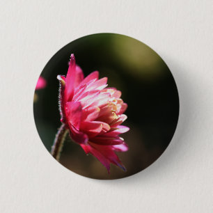 De rode BloemenKnoop van het Zonlicht van de Bloem Ronde Button 5,7 Cm