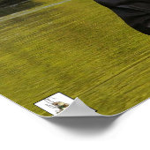 De rode cricket-forel-kantelweerstand poster (Hoek)