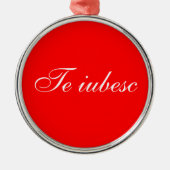 De rode en witte tablet metalen ornament (Voorkant)