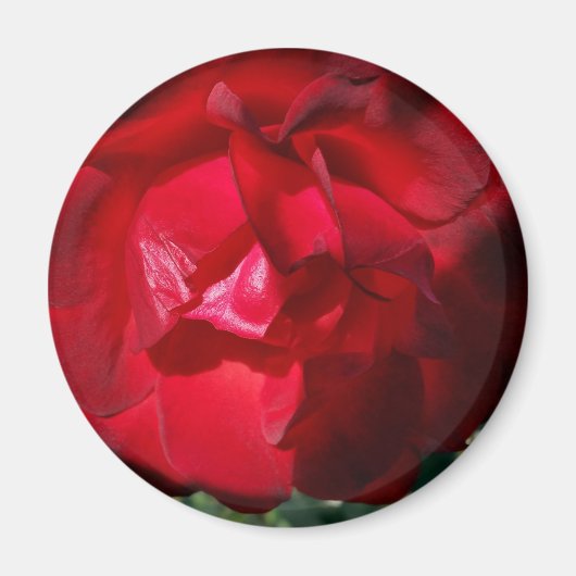 De rode herfst magneet (Voorkant)