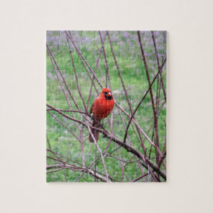 De rode HoofdZitting van de Vogel op Tak Legpuzzel
