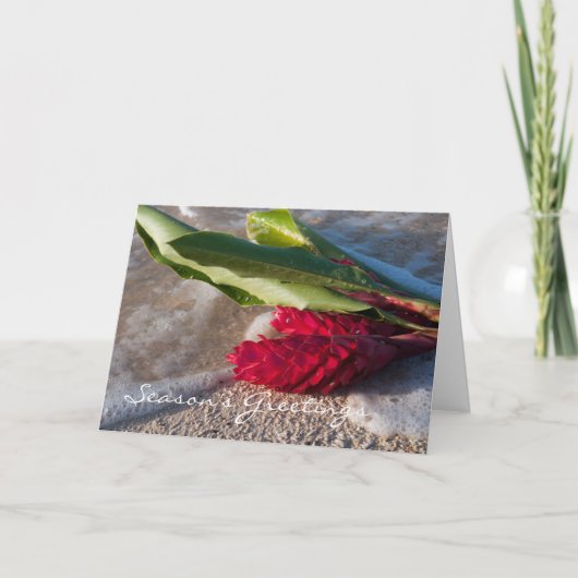 De rode kaart van de Gember (Voorkant)